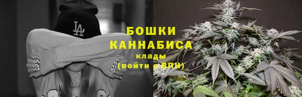 сатива Абинск