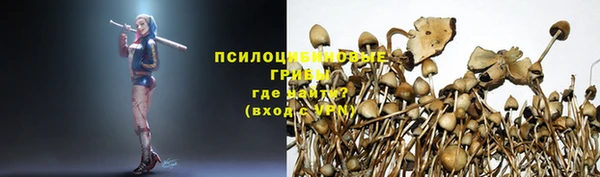 мдпв Осинники