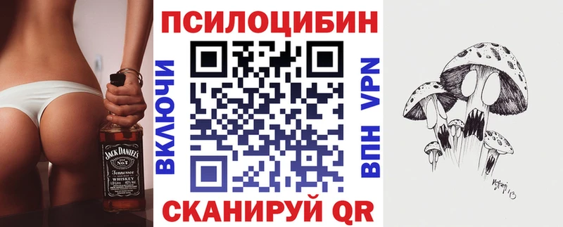 Псилоцибиновые грибы мицелий  mega зеркало  Чишмы 
